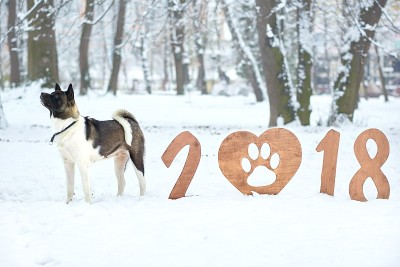 祝你2018年新年快乐