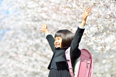 バンザイする新一年生の女の子(桜)
