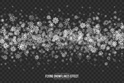 矢量飞行雪花效应