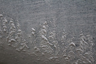 泥雪树