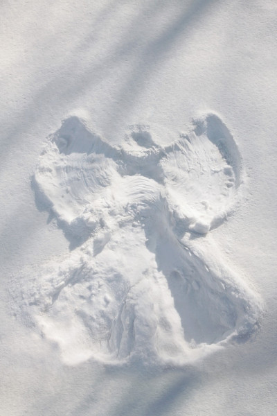 雪中天使图案