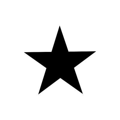 Star icon vector flat design