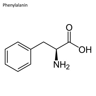 苯丙氨酸的骨架式
