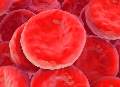 red blood cell