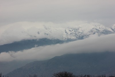 山
