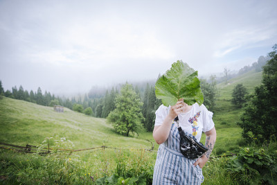 纹身袖的人站在云雾缭绕的山峦中，用一片大绿叶遮住脸——美丽的个人隐私寓言