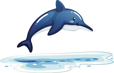 海豚