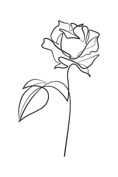 玫瑰花