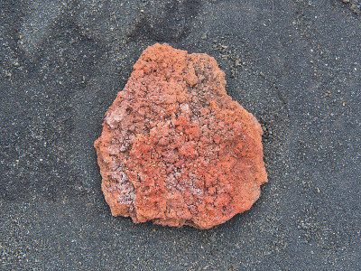 拉帕尔马火山路塔火山上的一块火山岩