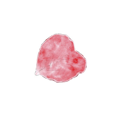 手绘花瓣插图为浪漫的设计
