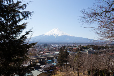 富士山和剪影树没有留下前景