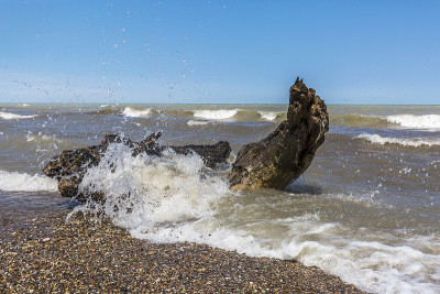 海浪冲击着休伦湖海滩上的浮木