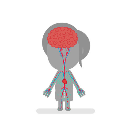 Human body anatomy vector illustration