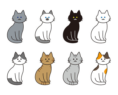 一只全身的猫，身体向右