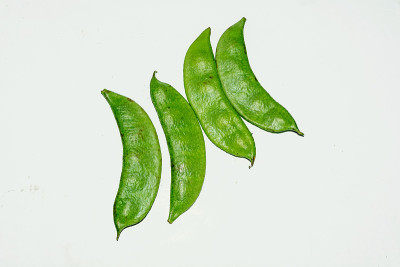 一堆新鲜的杰克豆或剑兰在白色的背景。