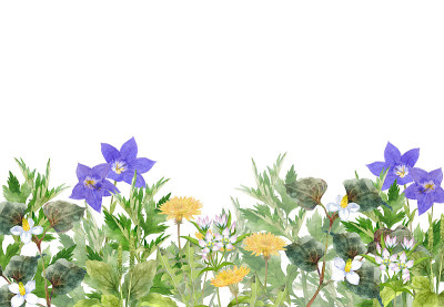 日本草药