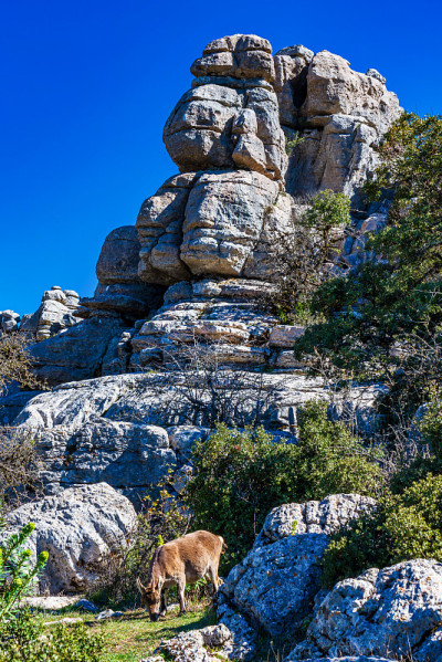 El Torcal de Antequera, Andalusia, Spain，在Antequer