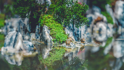 微型假山园林艺术装饰