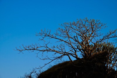 Purandar堡垒的景观场景在冬季季节