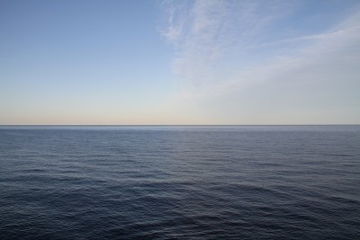 海里面