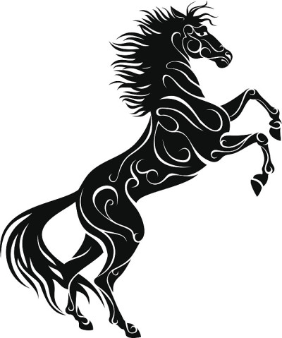 饲养马