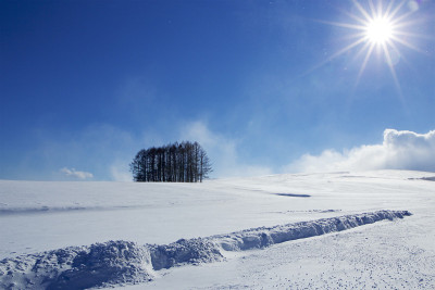 日本的雪景