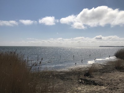 吕根Coastline