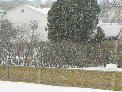 雪暴风雪