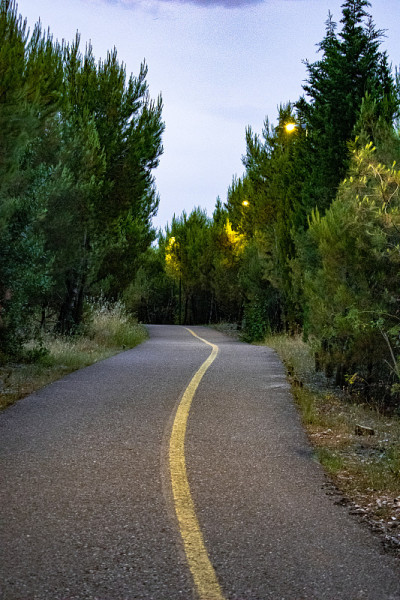 下午慢跑时在公园的路上