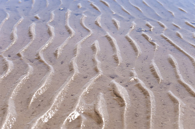 圣Peter-Ording