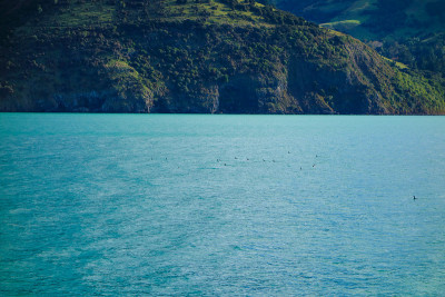的观点Akaroa