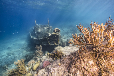 在库拉索岛附近的加勒比海，有拖船沉船、珊瑚和海绵在蓝绿色的珊瑚礁水中