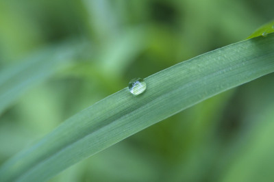 雨滴