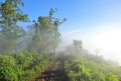 巴厘岛雾