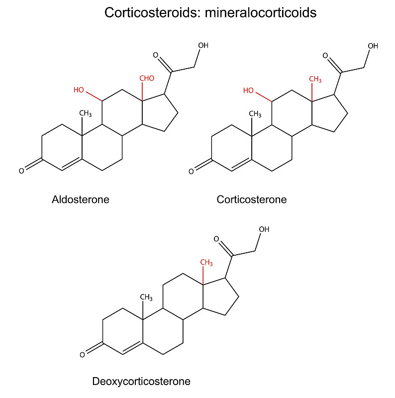 皮质类固醇的结构化学公式-矿物皮质