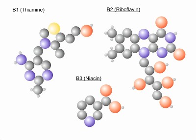 不同维生素B分子的分子结构
