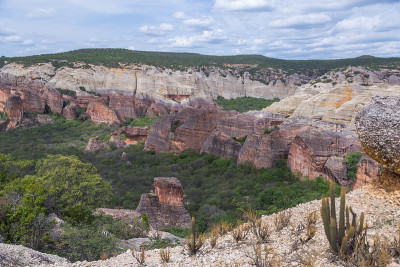 卡皮维拉Serra da Capivara的多叶Catinga