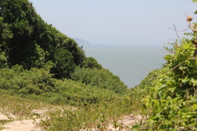 巴西南部海滩