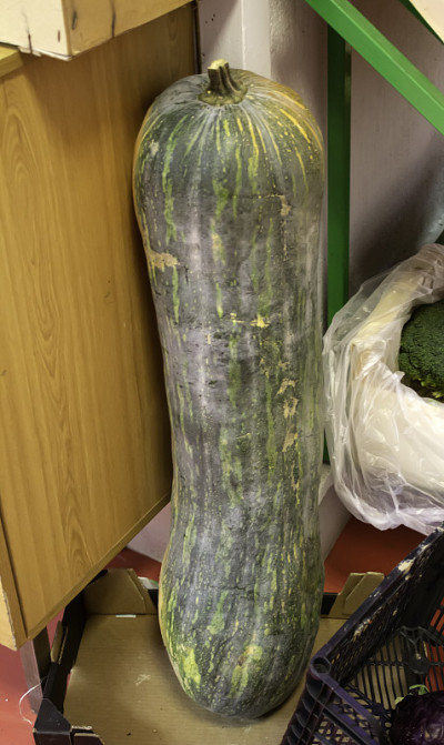 南瓜蔬菜水果商