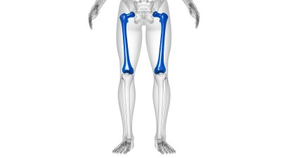 人体骨骼解剖股骨骨3D渲染