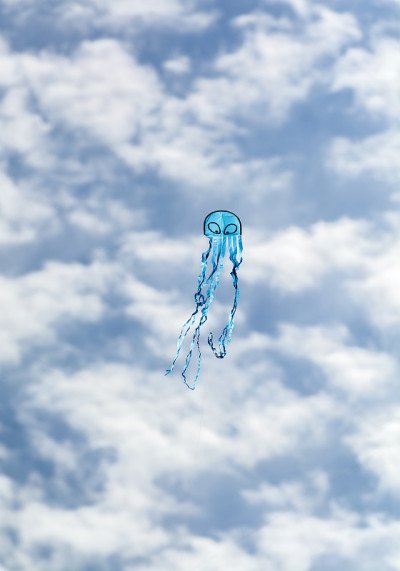 五彩缤纷的风筝
