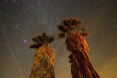星光灿烂的夜晚
