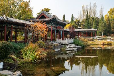 秋天，公园里有中国古建筑的阁楼和银杏树