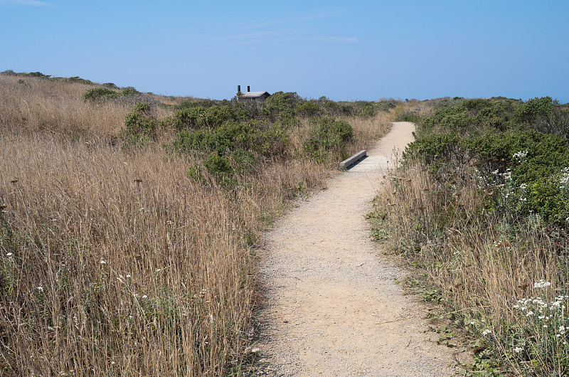 Bodega Head的海岸草原小径