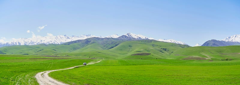 全景，山景，在前景年轻的绿草与雪峰山脉的背景