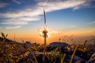 五颜六色的夕阳在山景映衬下吹球的剪影