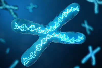 3D插图x染色体与携带遗传密码的DNA。遗传学概念，医学概念。未来,基因突变。在生物层面改变遗传密码