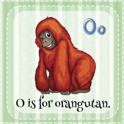 字母O