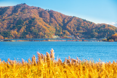 秋日的富士山，川口湖的蓝天。