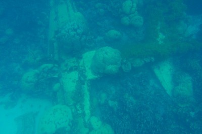 日本海军的飞机在二战时为零